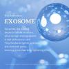 imagemedicube Zero Exosome Shot Duo Zero Exosome Shot 2000PPM Spicule Facial Serum and Zero Exosome SHot 7500PPM Spicule Facial Serum