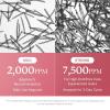 image:imagemedicube Advanced Refining Serum Duo Retinol Boosting and PDRN Exosome Shot 2000  2000PPM Spicules Retinol PDRN Collagen for firmer smoother skin  Korean Skincare Skincare Set Gifts for Women